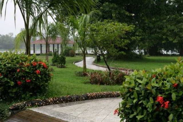 Terraço