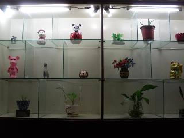 Vista General