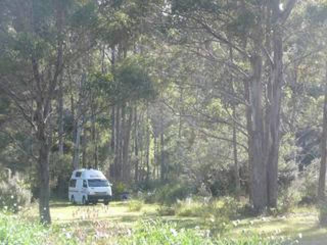 Vista General