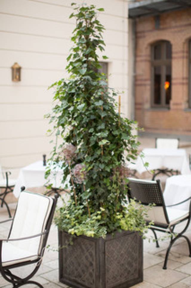 Terraço
