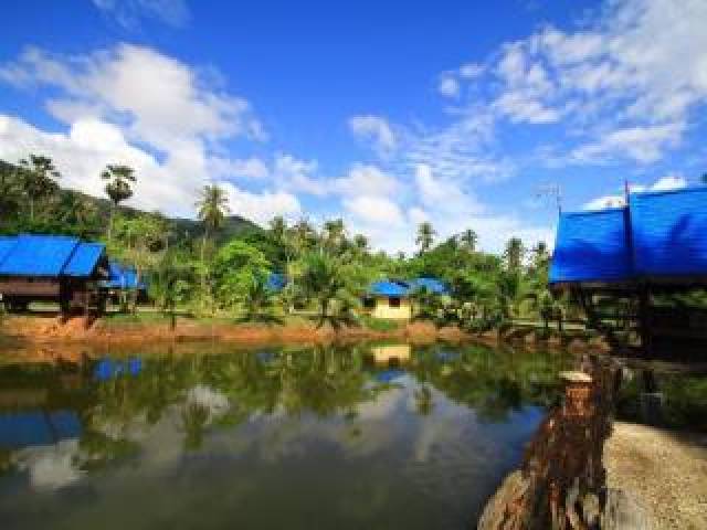 Vista General