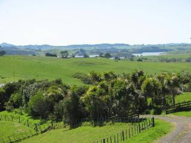 Vista General