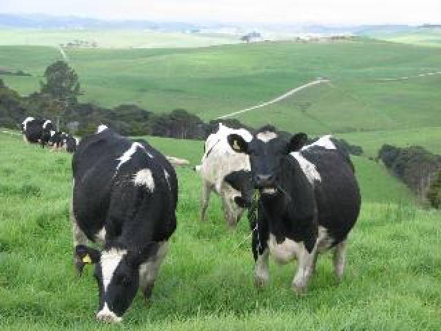 Vista General