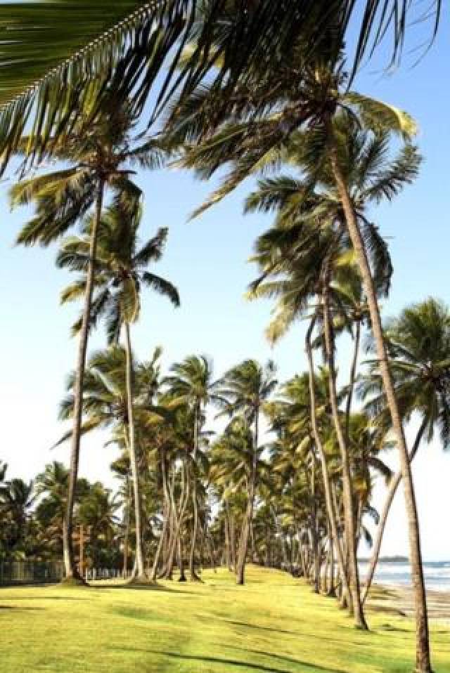 Praia
