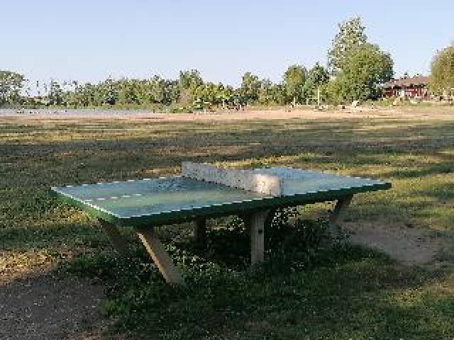 Desportos y Entretenimento