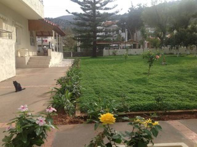 Vista General