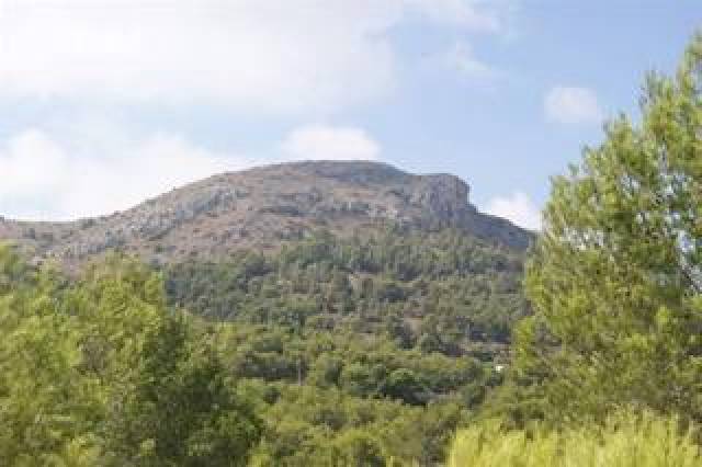 Vista General