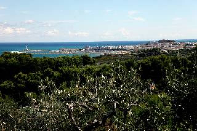 Vista General