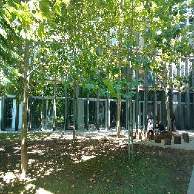Terraço