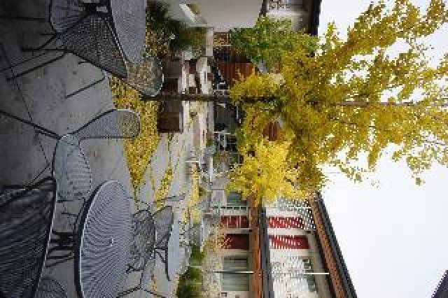 Terraço
