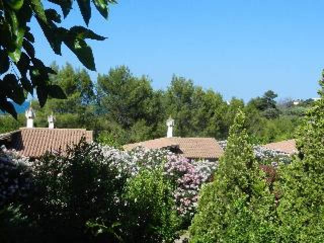 Vista General