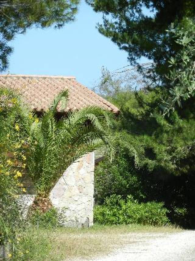 Vista General