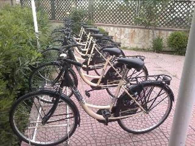Desportos y Entretenimento