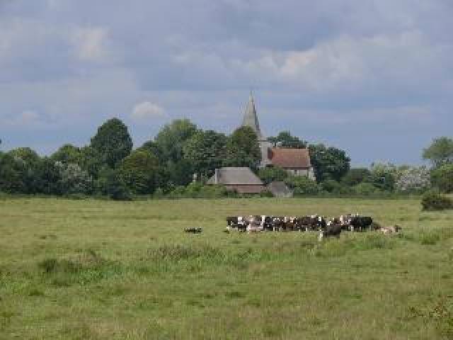 Vista General