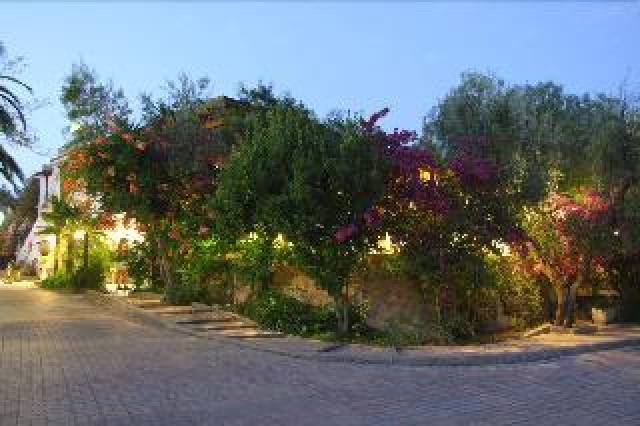 Vista General