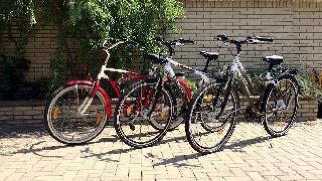 Desportos y Entretenimento