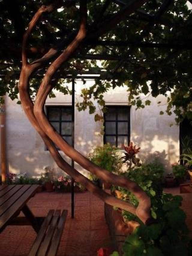 Terraço