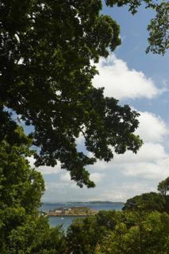 Vista General