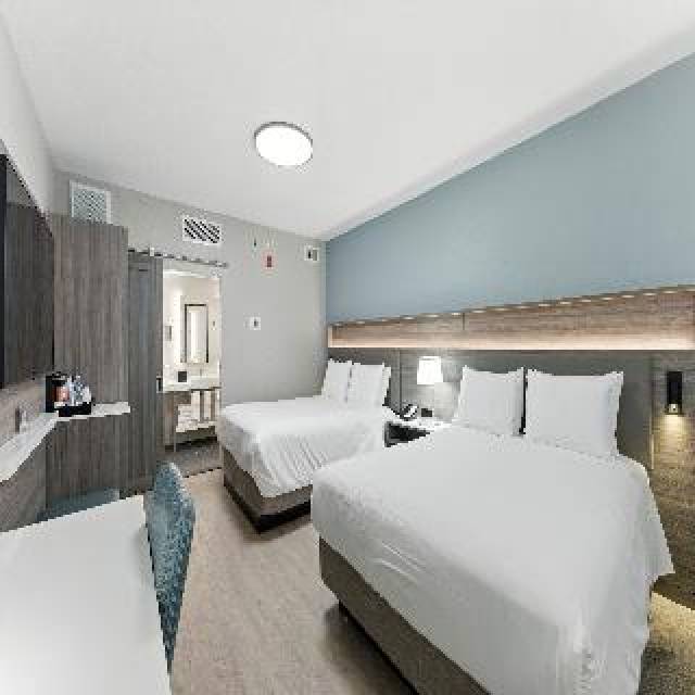 Quarto