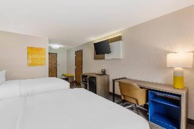 Quarto