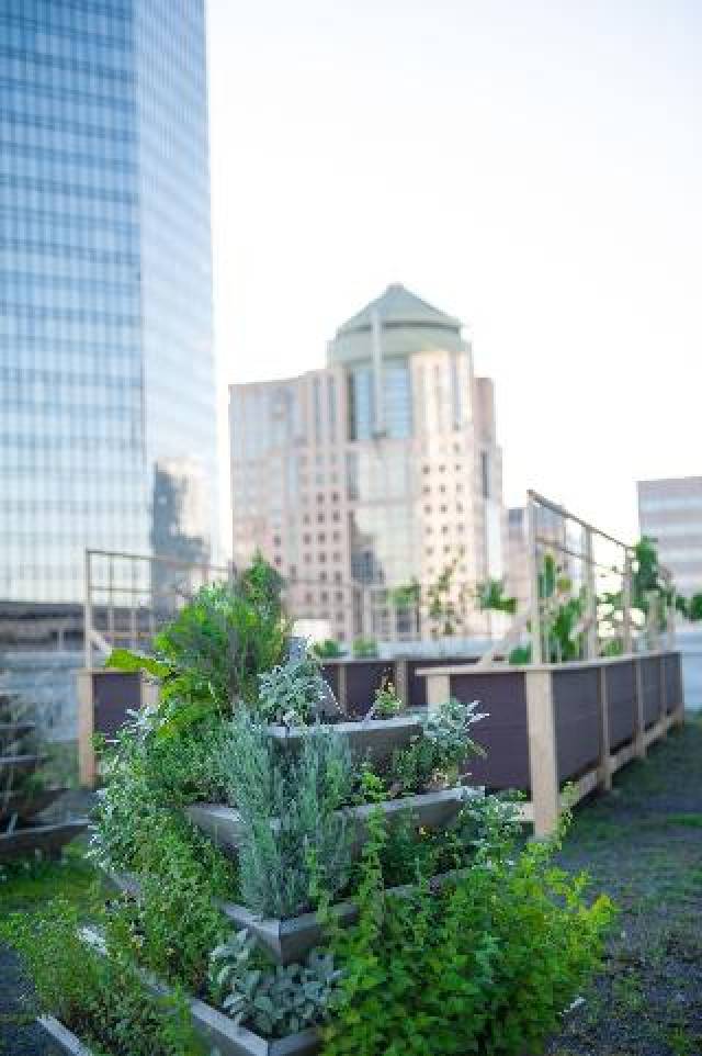 Terraço