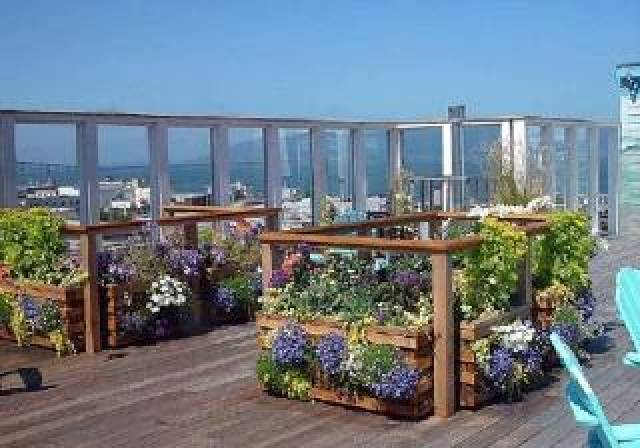 Terraço