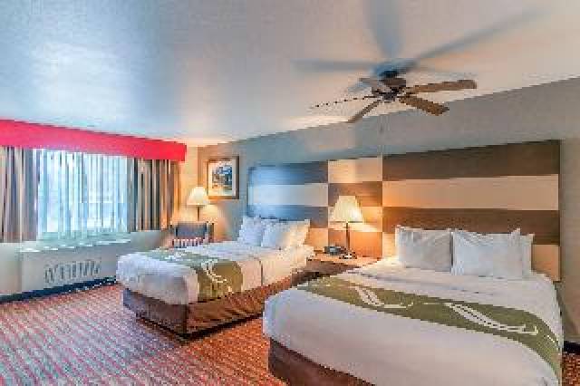 Quarto