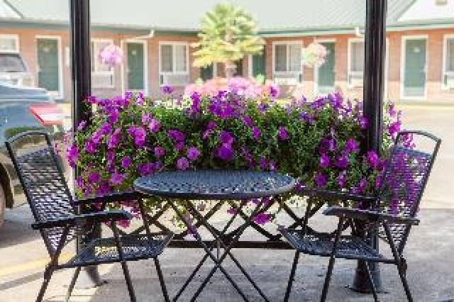 Terraço