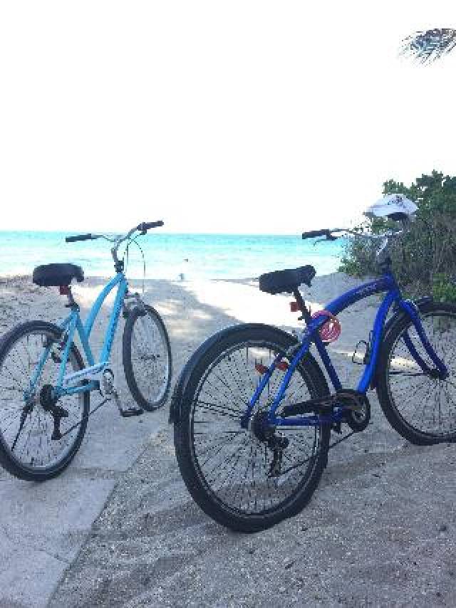 Desportos y Entretenimento
