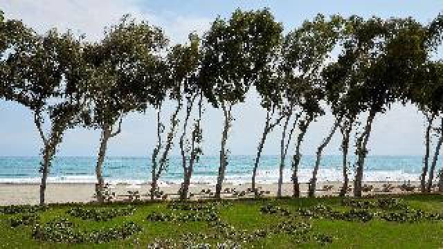 Praia