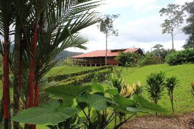 Vista General