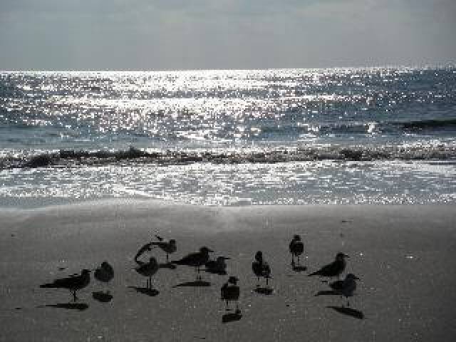 Praia