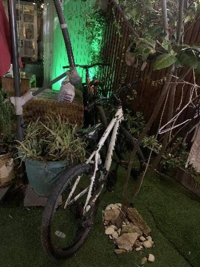 Desportos y Entretenimento