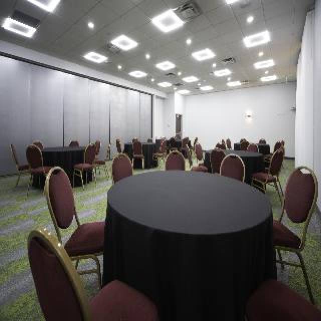 Conferencias