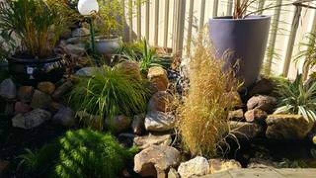 Vista General