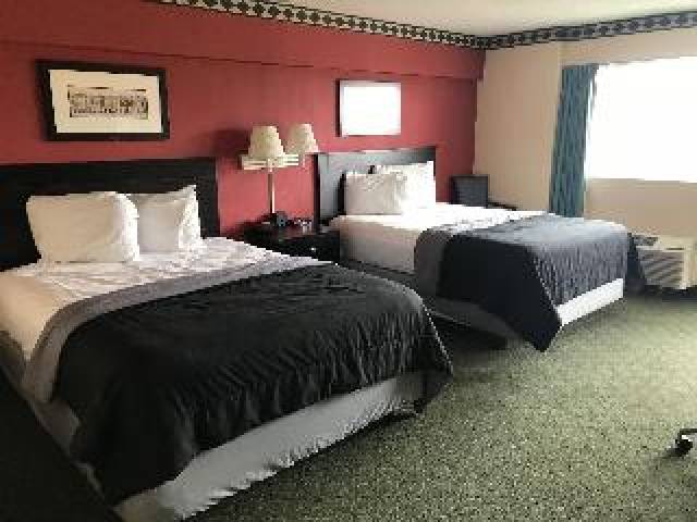 Quarto