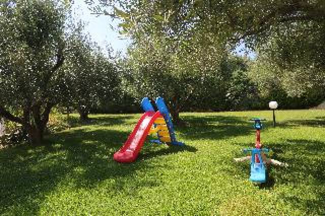 Desportos y Entretenimento