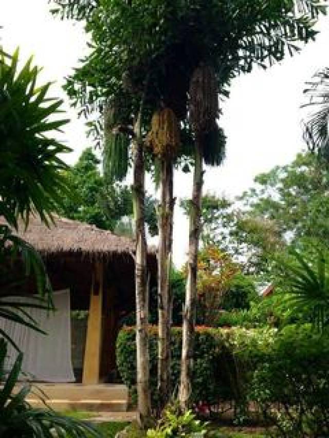 Vista General