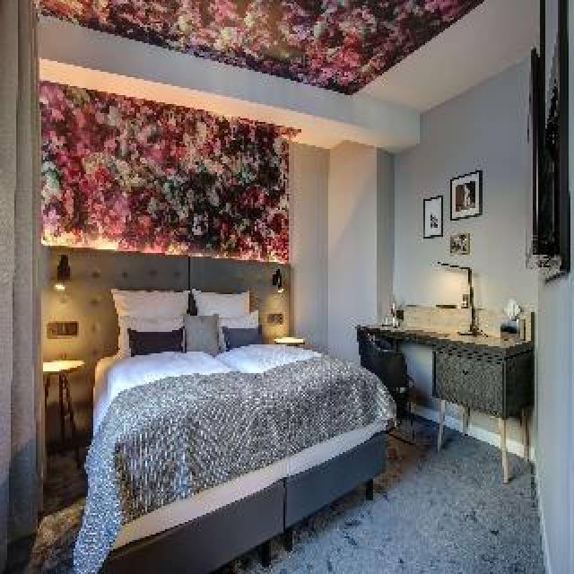 Quarto