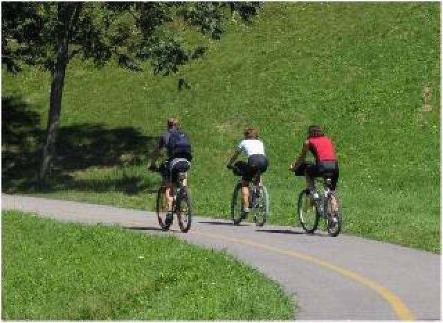 Desportos y Entretenimento