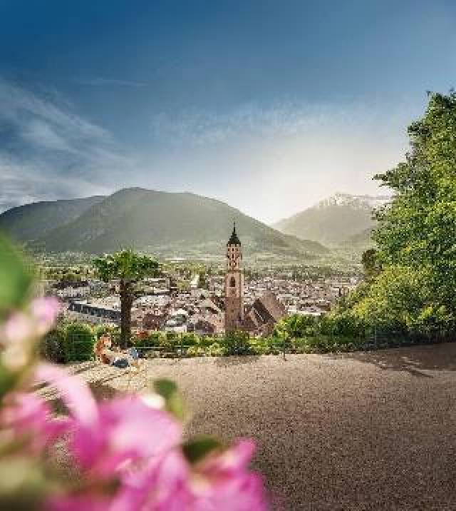 Vista General