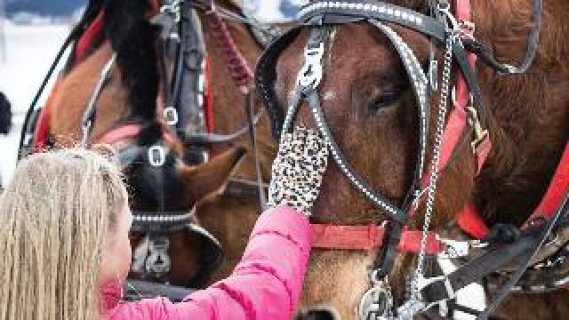 Desportos y Entretenimento