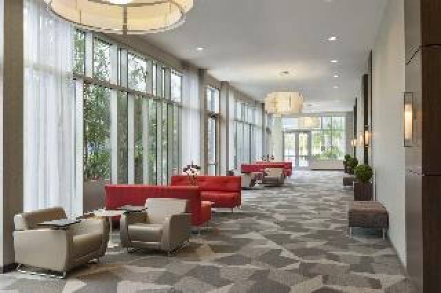 Conferencias