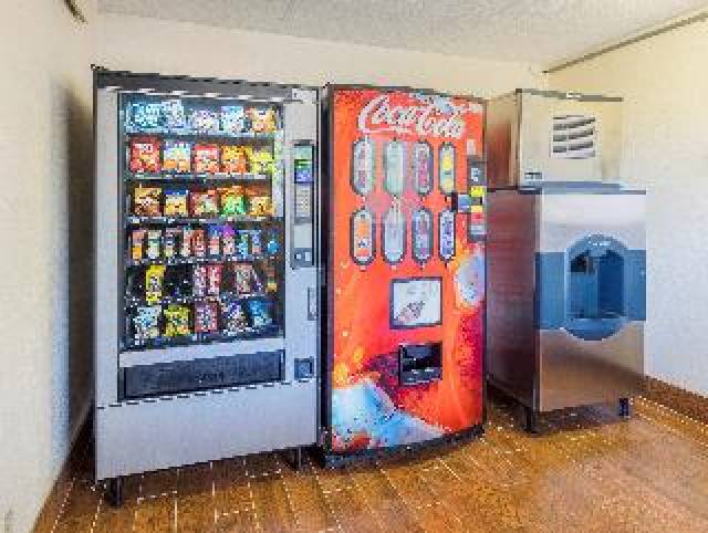 Desportos y Entretenimento