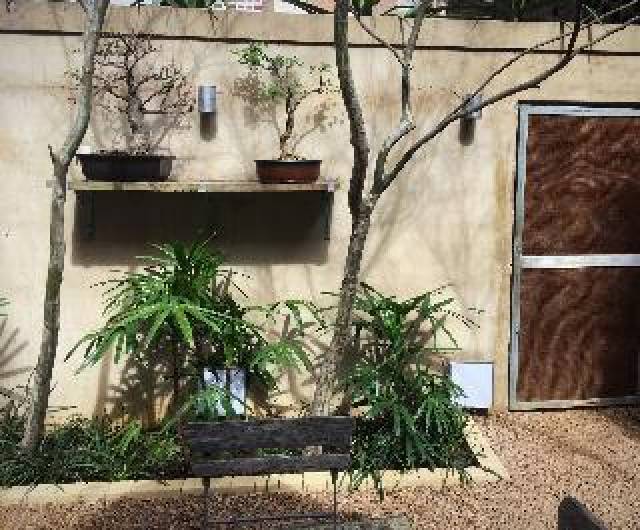 Terraço