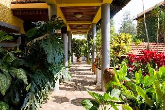 Vista General