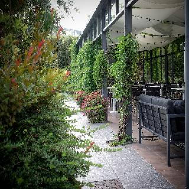 Terraço