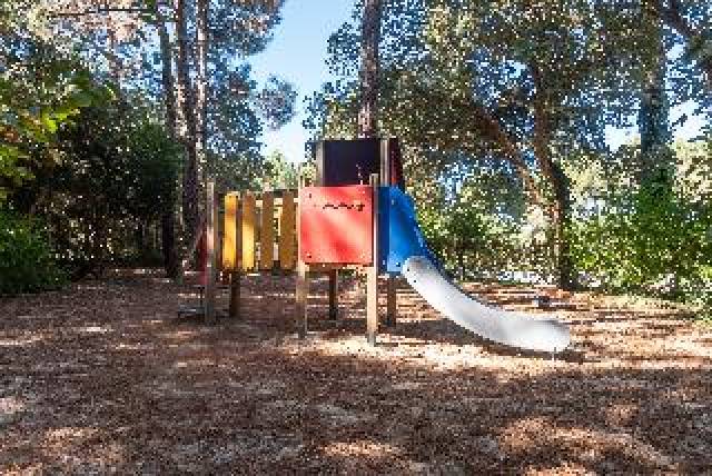 Desportos y Entretenimento