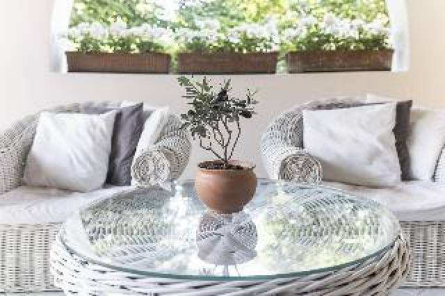 Terraço
