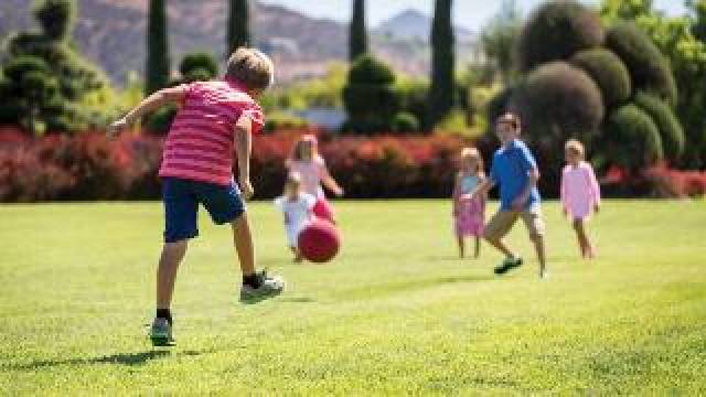 Desportos y Entretenimento